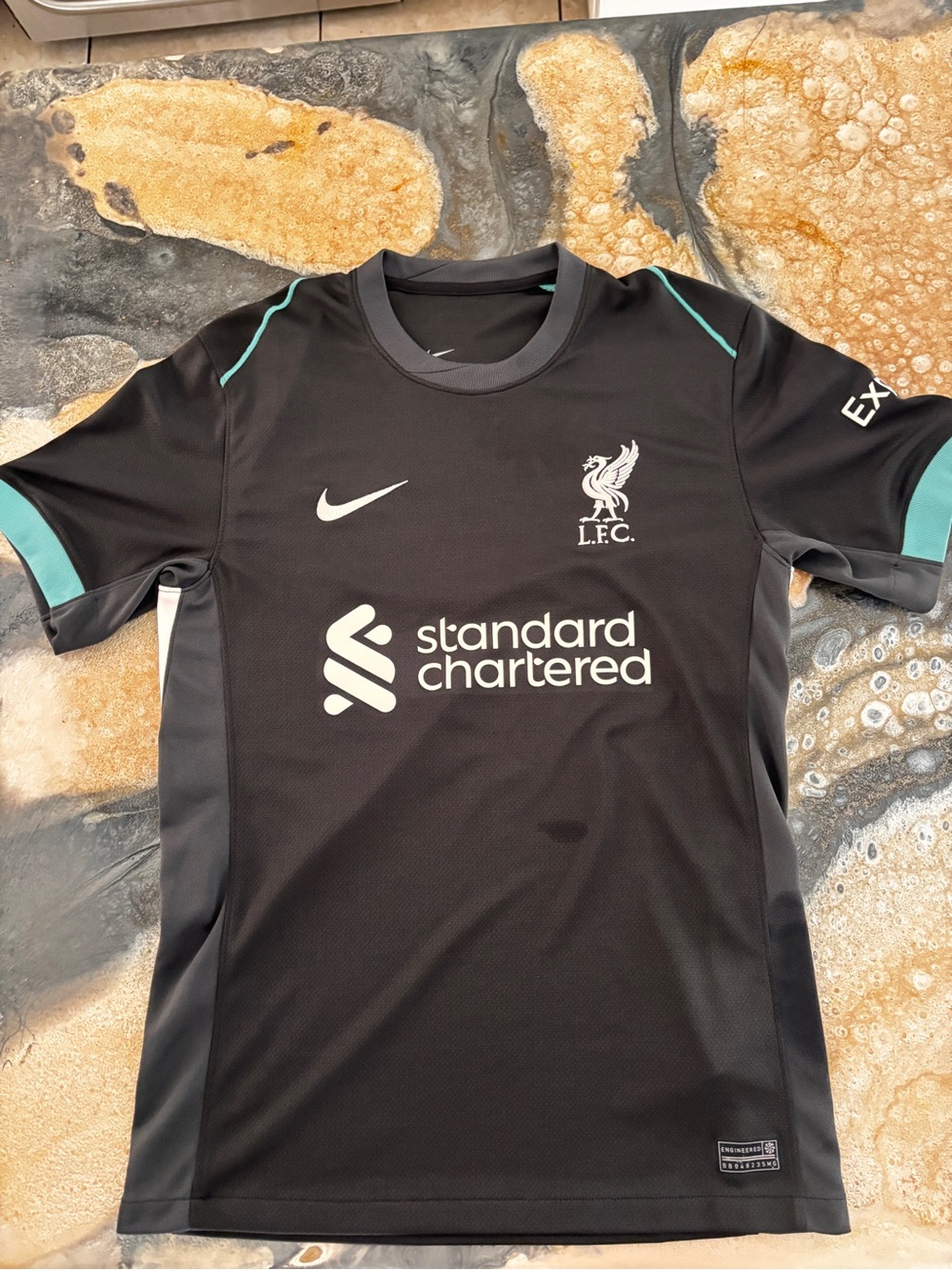 Liverpool FC Kids Black Training Shirt with Teal Accents - Nike